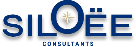 Logo-Siloee-consultants